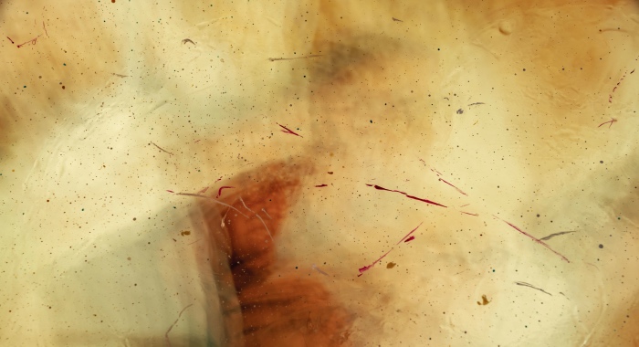 躺着赚钱时代早就结束了,家电经销商今后只能一拼到底!-家电圈官网