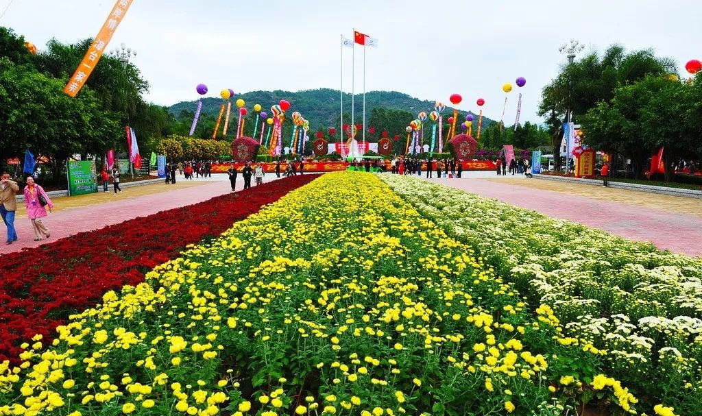 11月23号漳州东南花都赏2019花博盛宴一天游