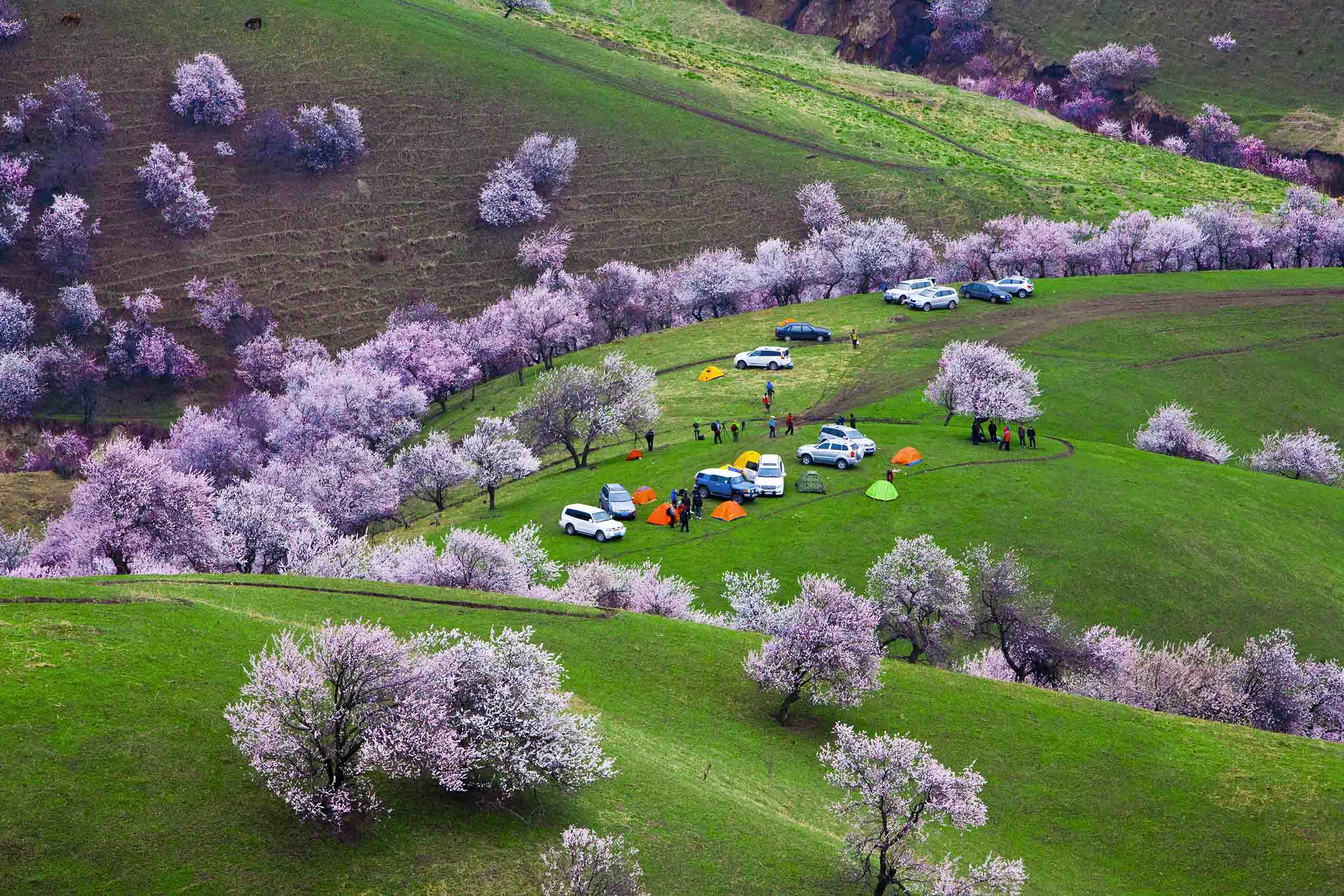 爱上旅行-新疆旅游打卡圣地_伊犁