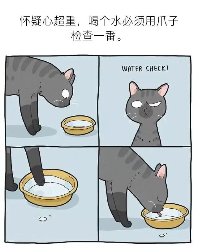 别人家的猫vs自己的猫!