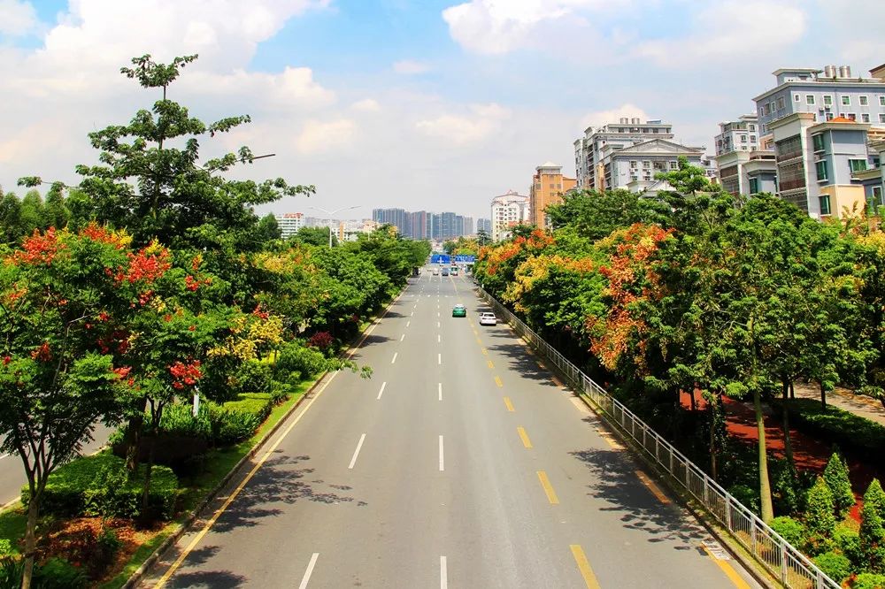 泗黎路4道路正式更名为龙华大道——龙华人迎来了自己的"门户大道"!