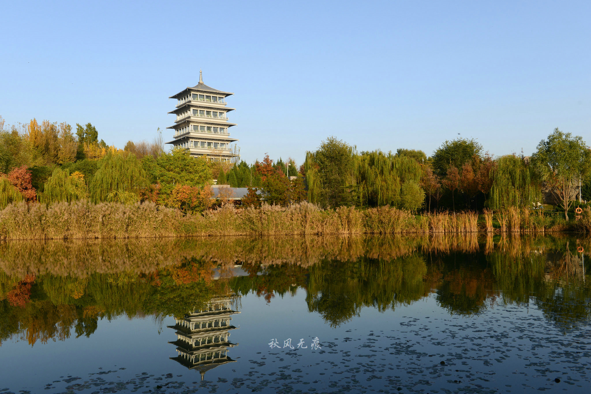 原创广运潭初冬的迷幻秋境
