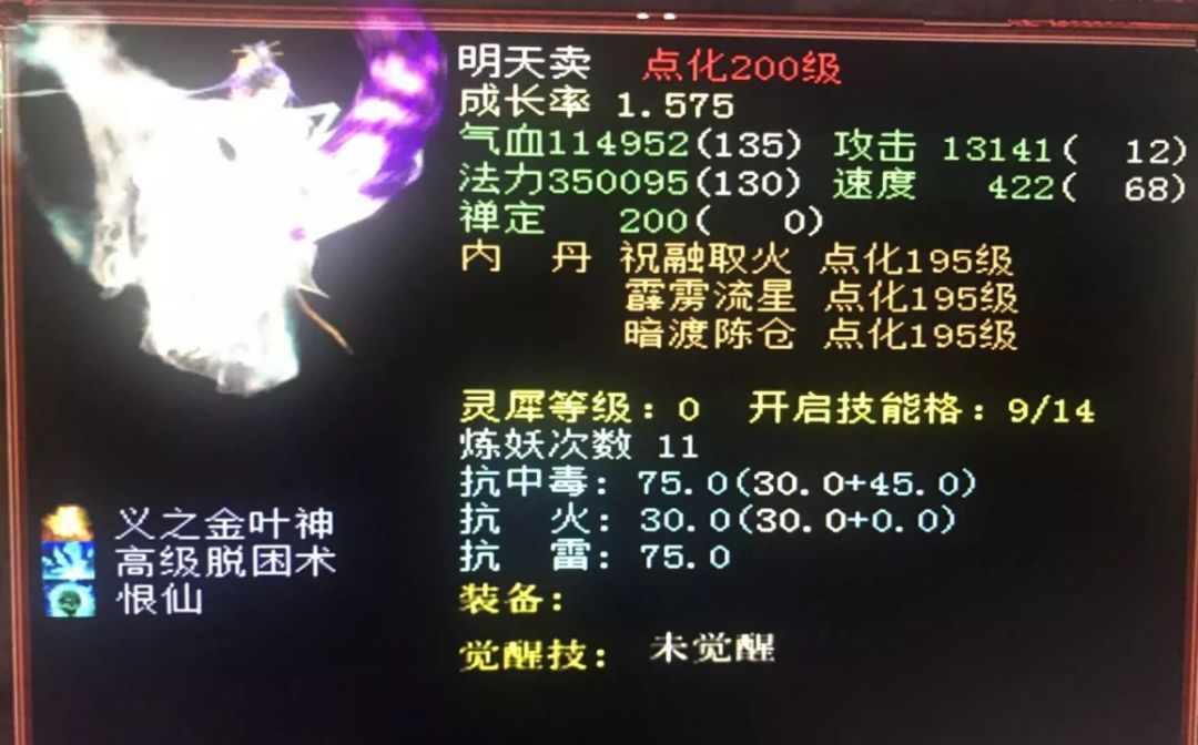 無法形容這兩隻200級寶寶的悟性名字也亮了