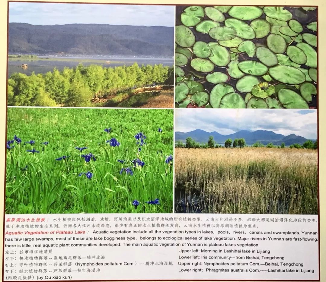 图集从生物多样性主题图片展看大美云南
