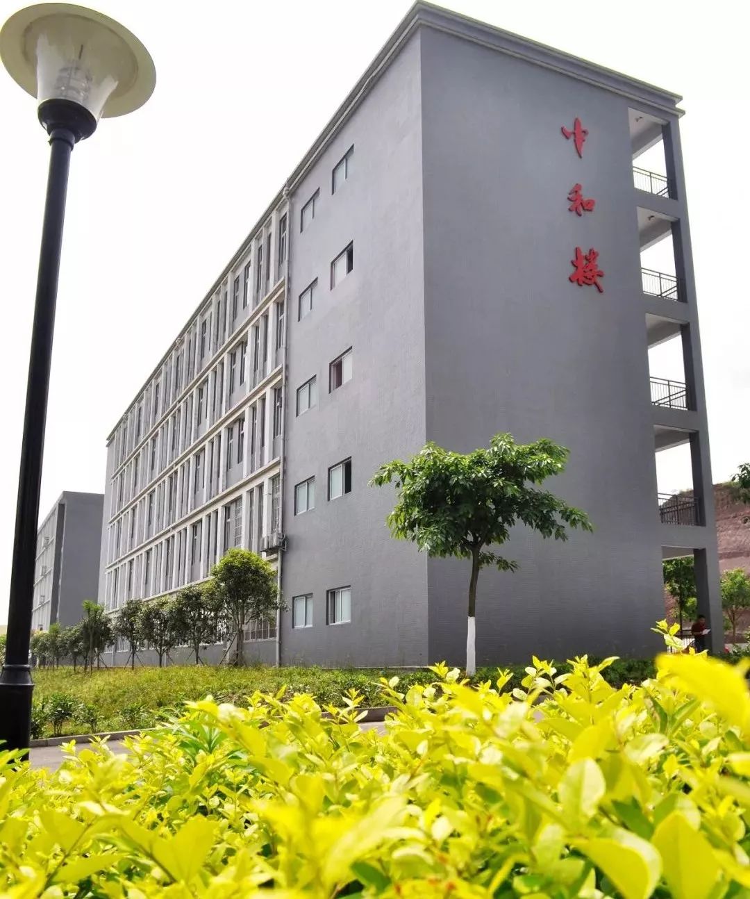 百年井中校友带您一探井研中学楼名路名