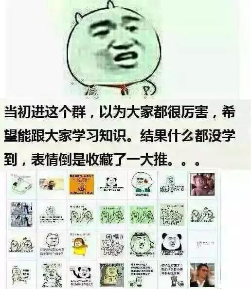 技术群几乎不怎么聊技术,玩到最后都变成了斗图大会