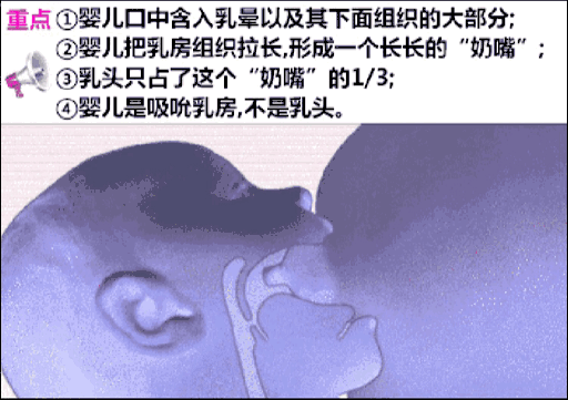 1,正确哺乳姿势.