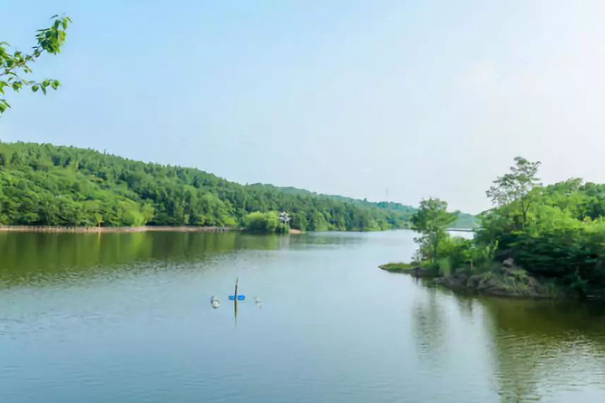 新沂,一座宜动宜静的美好城市抖音作品征集到了众多优秀的抖音作品