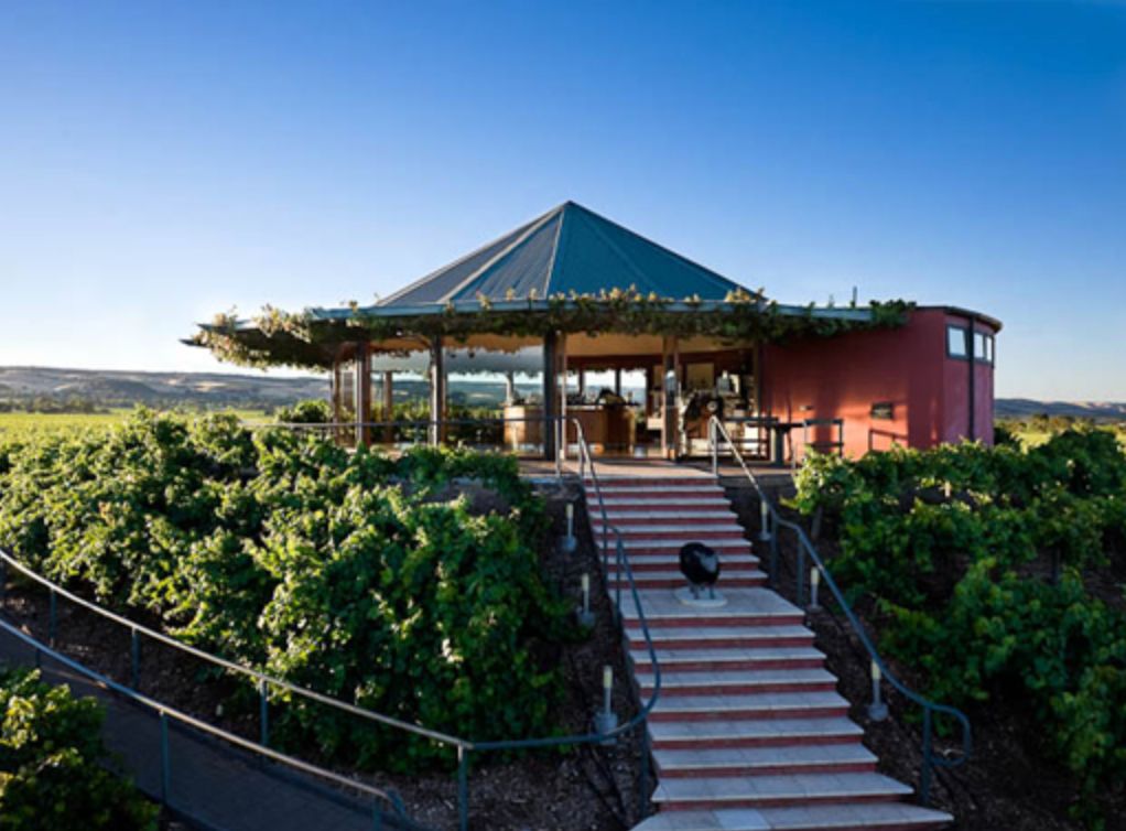 从四大南澳名庄出发观察澳洲精品葡萄酒前景如何听听gnt董事怎么说