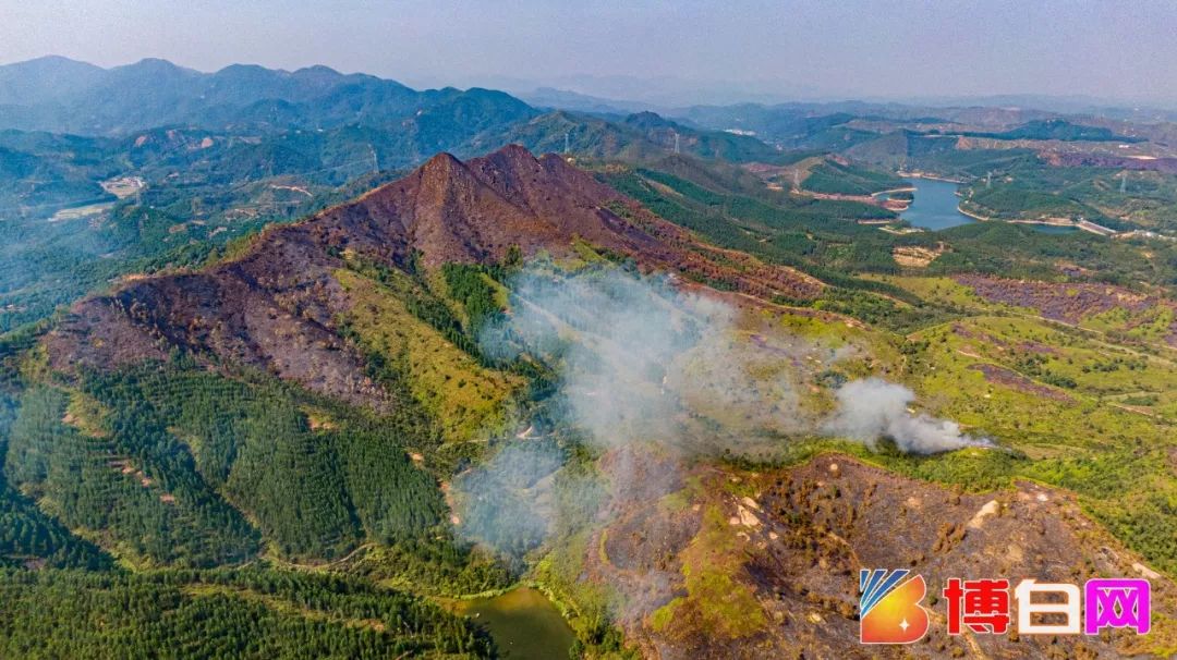 令人心痛!博白雙角嶺,飛鳳嶺,天峰嶺和六陽嶺,竟變成了這樣