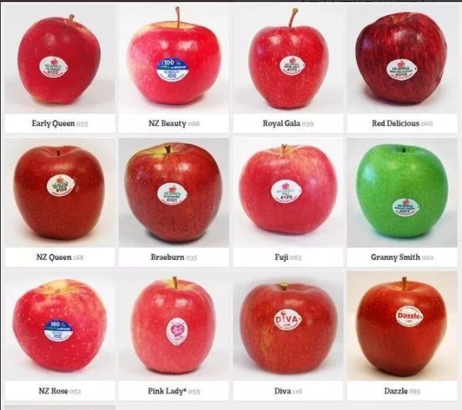 各式苹果斐济果返回搜狐,查看更多