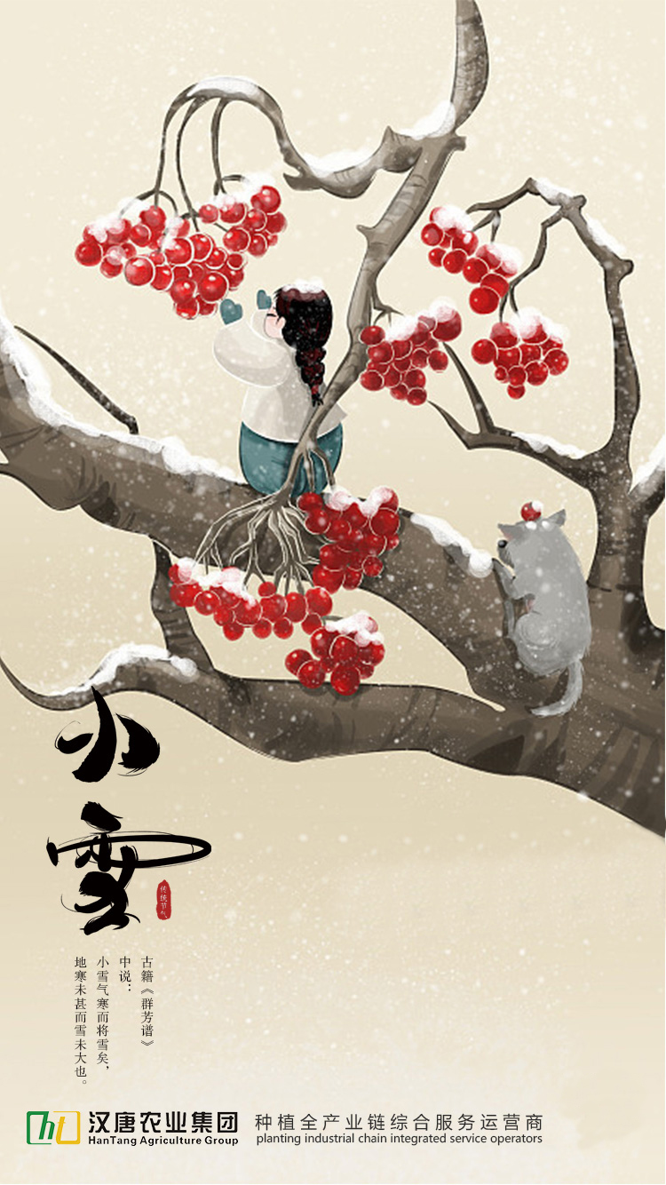 节气小雪节气这份攻略你需要保存