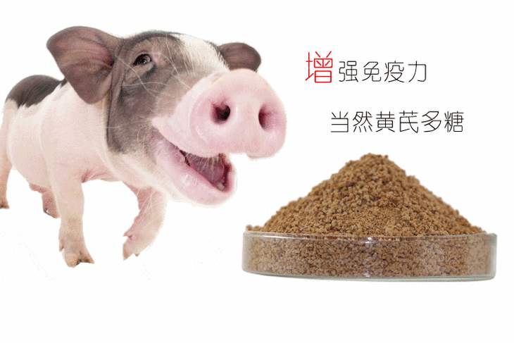 黄芪多糖可溶性粉兽用猪牛羊预防感冒药鸭鹅禽药抗病毒黄芪多糖功效