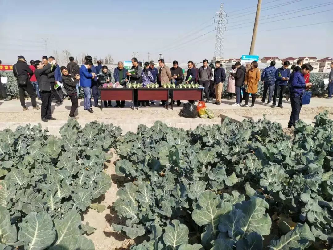 觀摩了翻耕起壟機,農用植保無人機,蔬菜移栽機,除草覆土機等機械設備