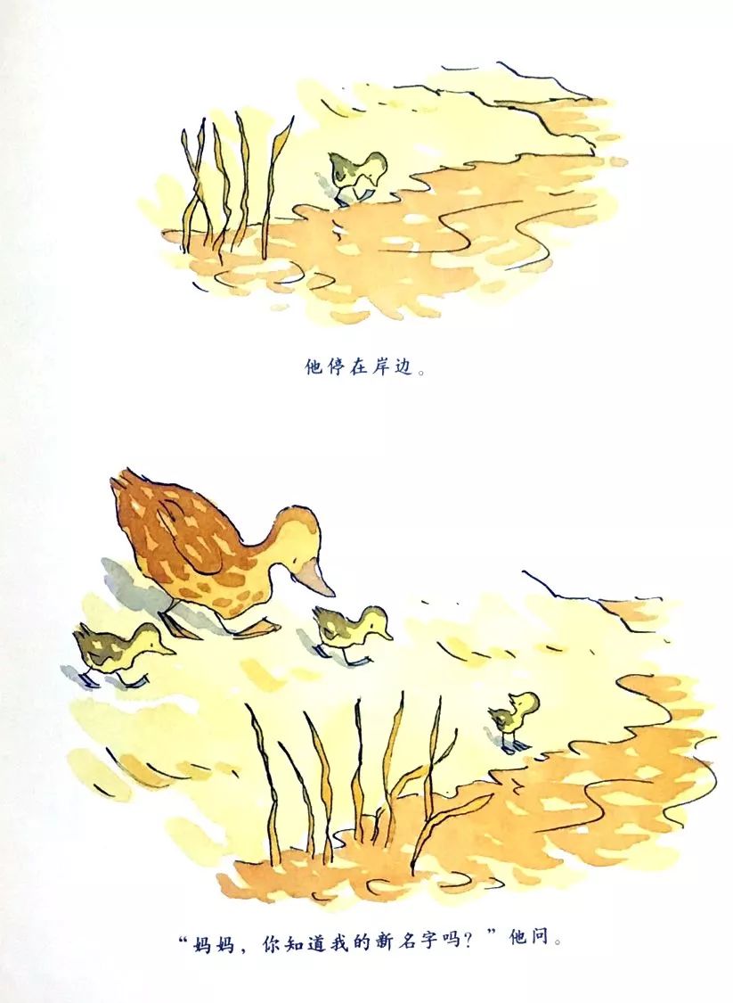 绘本课堂小步走路