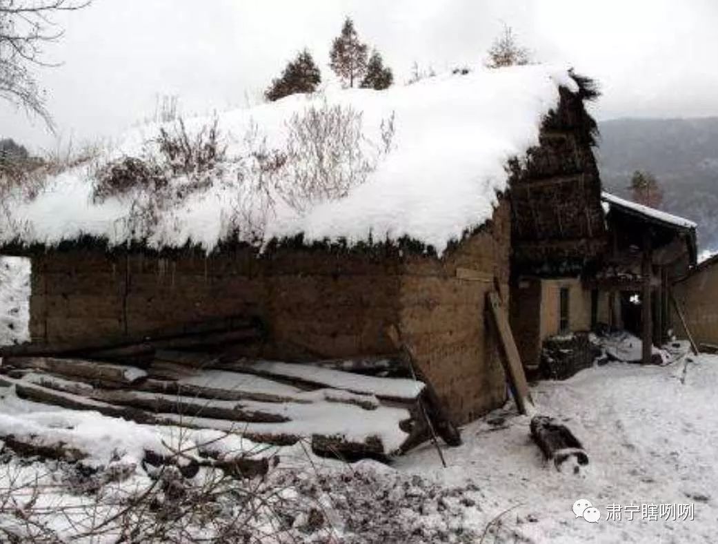 聆听经典美文杨健棣盼望一场雪