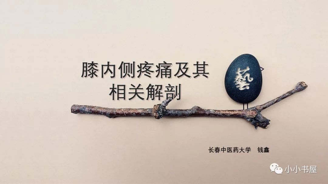 膝内侧疼痛及相关解剖(一)