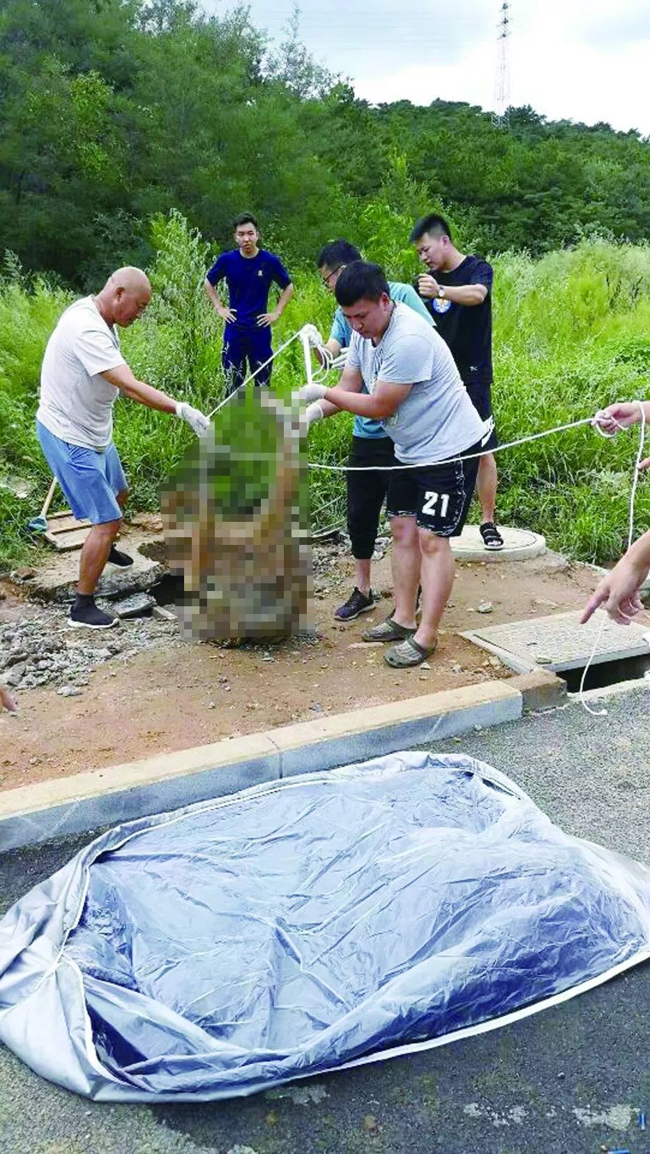 葫芦岛218大案图片