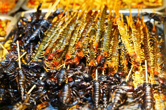 南宁最繁华的地方就是中山路美食街,蝎子蜈蚣30一个你敢吃吗?