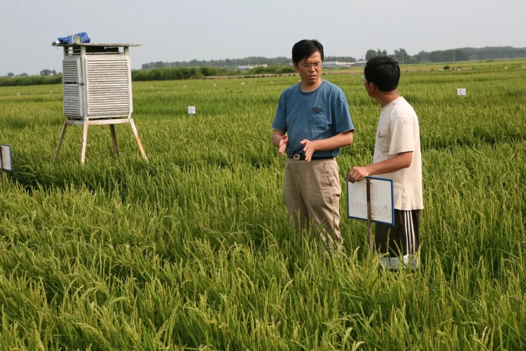 面对种种压力,彭世彰没有丝毫退缩,继续带领学生埋头田间3年,反复试验