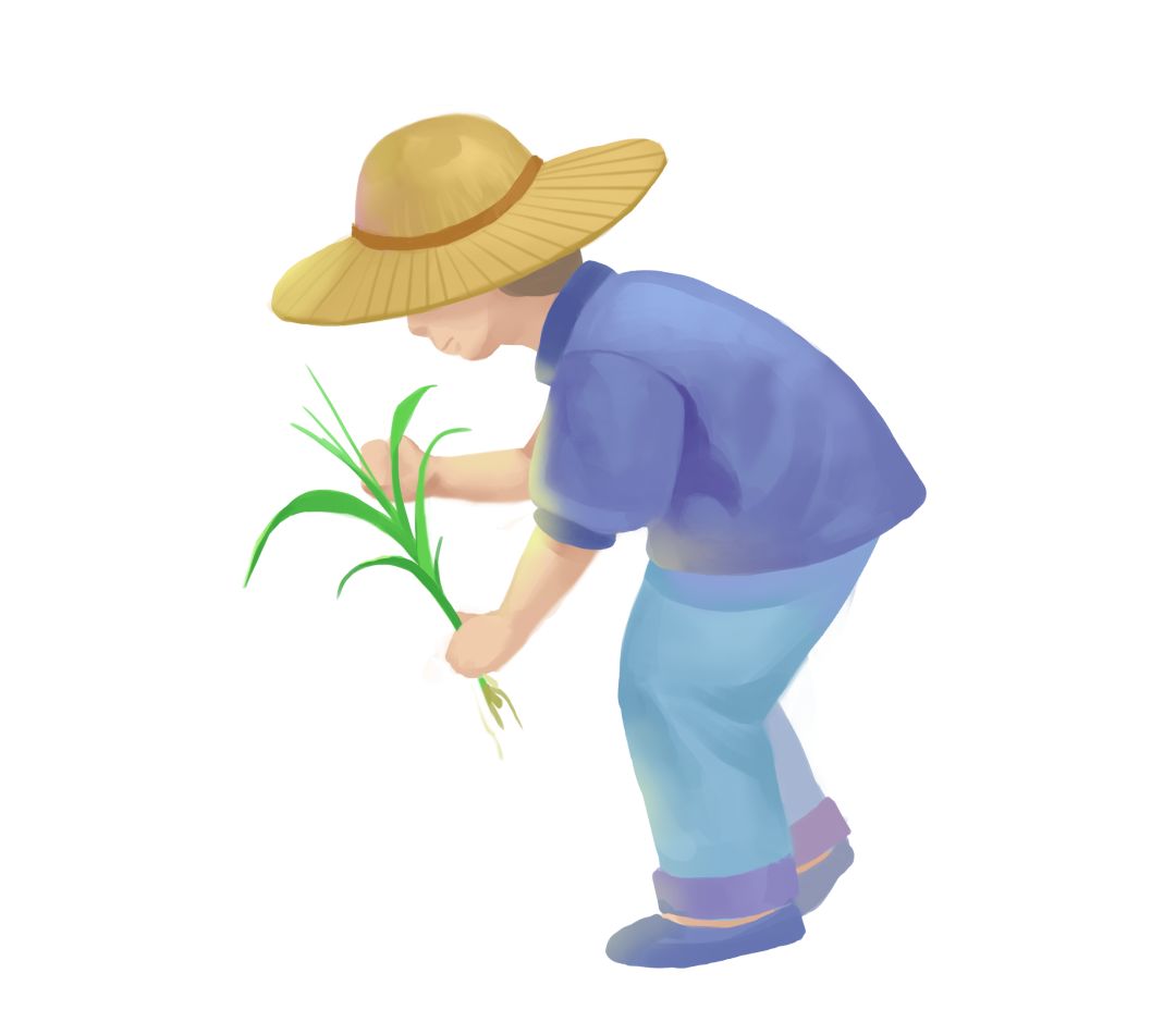 《关于深化农业技术人员职称制度改革的指导意见》人社部,农业农村部