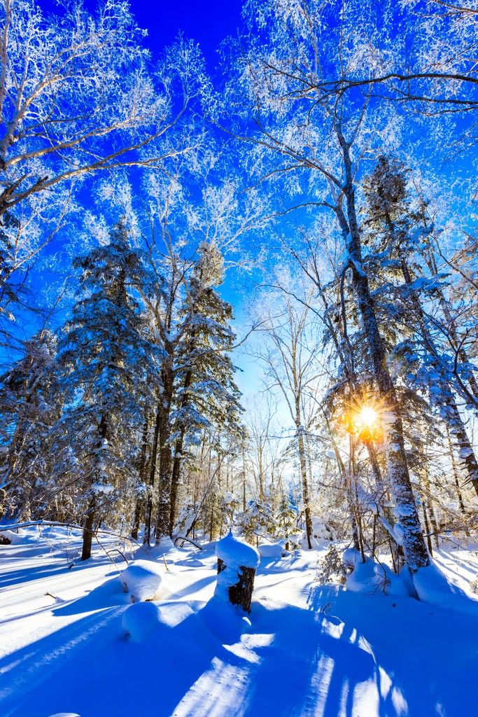 呼伦贝尔草原雪景图片图片