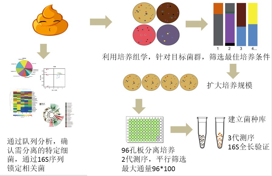 发酵工艺优化在食品行业的创新应用