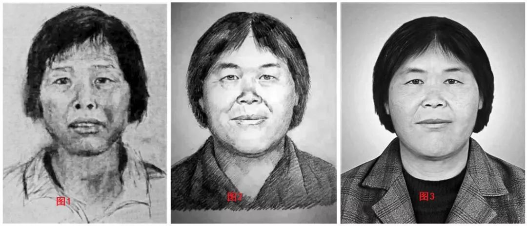 现在有3个版本的"梅姨"画像,如下图,从左到右123,只有最左边的画像图1