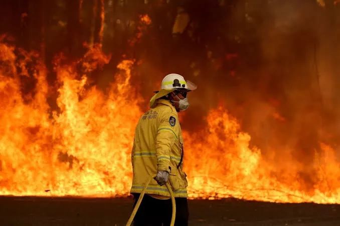 澳洲大火如世界末日女子当场脱衣冲进火场救考拉
