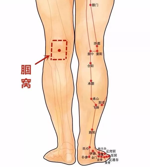 腿抽筋不只是"缺钙",其他原因导致的该怎么办?_艾灸
