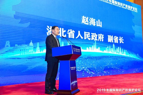 第十九届"华创会"国际知识产权保护论坛 成功举办_湖北省