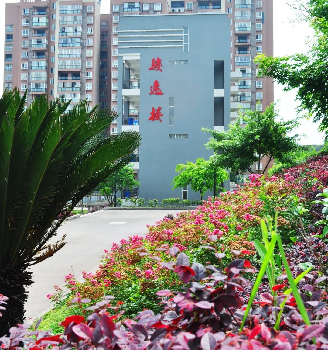 百年井中校友带您一探井研中学楼名路名