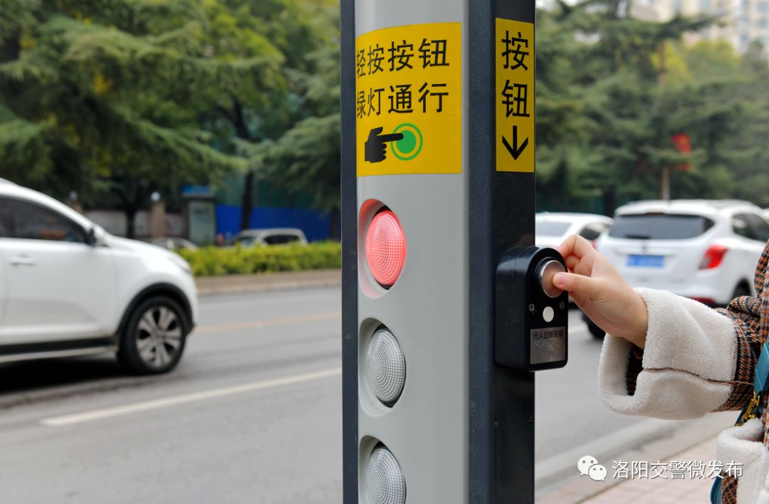 红绿灯自己开这种信号灯首次亮相洛阳