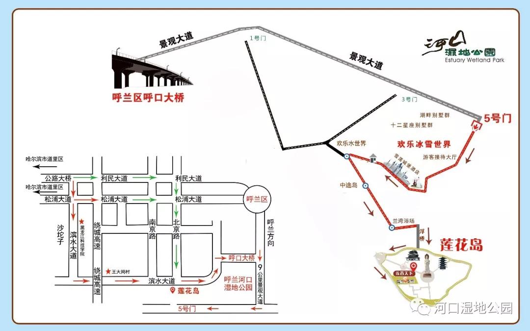 呼兰河口湿地莲花岛免费开放了