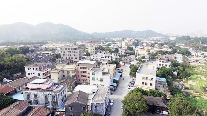 【70年·见证】兼收众长 益以创新,金字山下村落的华丽蝶变_孙中山