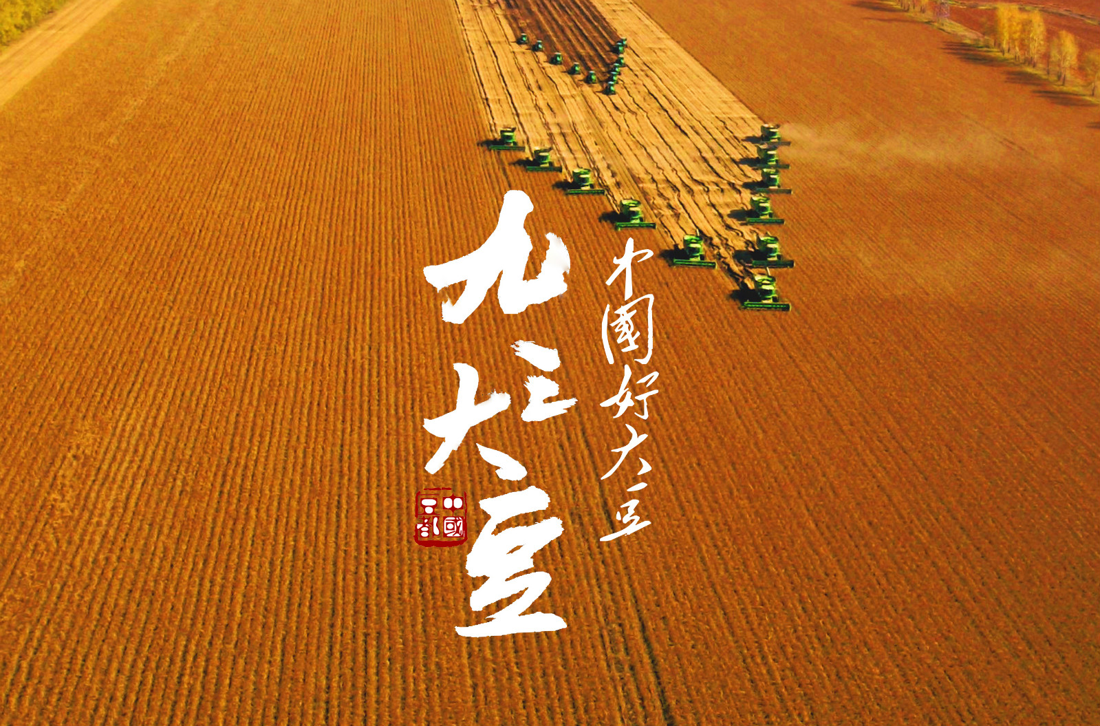 黑龙江省农产品地理标志巡礼六九三大豆