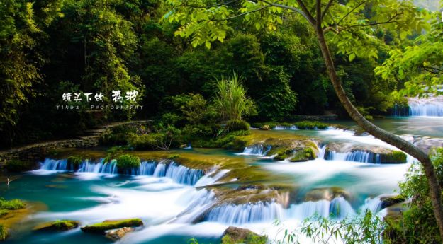 荔波·水上森林▲赤水·竹海森林▲从江·加榜梯田▲青岩古镇▲西江