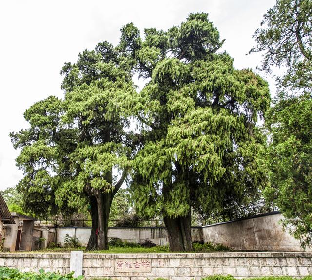 在沧海桑田中见证历史嵩明县黄龙山探秘