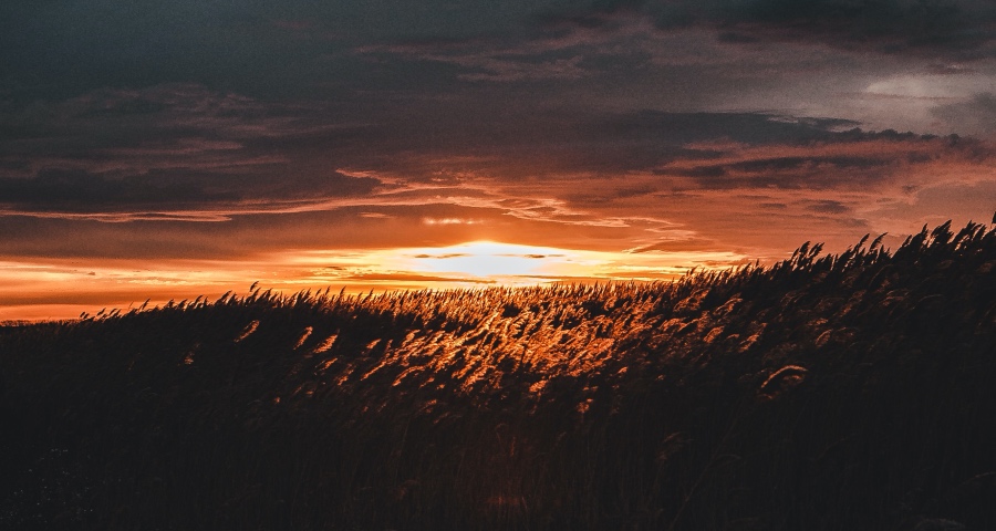 OLED电视中国陷沼泽地：创维收缩，LG困顿，索尼独秀，其它投机-家电圈官网