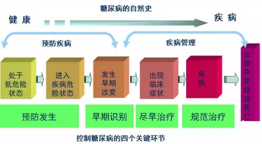 从糖尿病前期到进展为糖尿病如何把握黄金10年的有效防控期