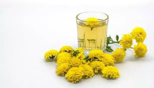 眼睛不舒服该选黄菊花还是白菊花