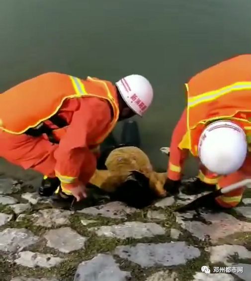 打捞女孩溺水身亡现场图片