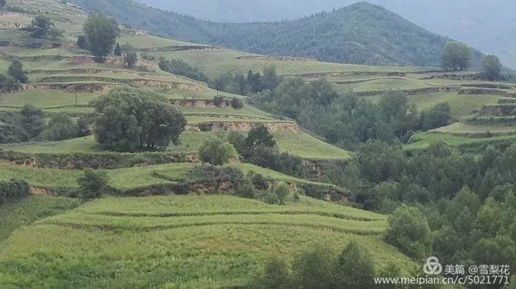 头条我的家乡静乐县杜家村镇刁儿沟村