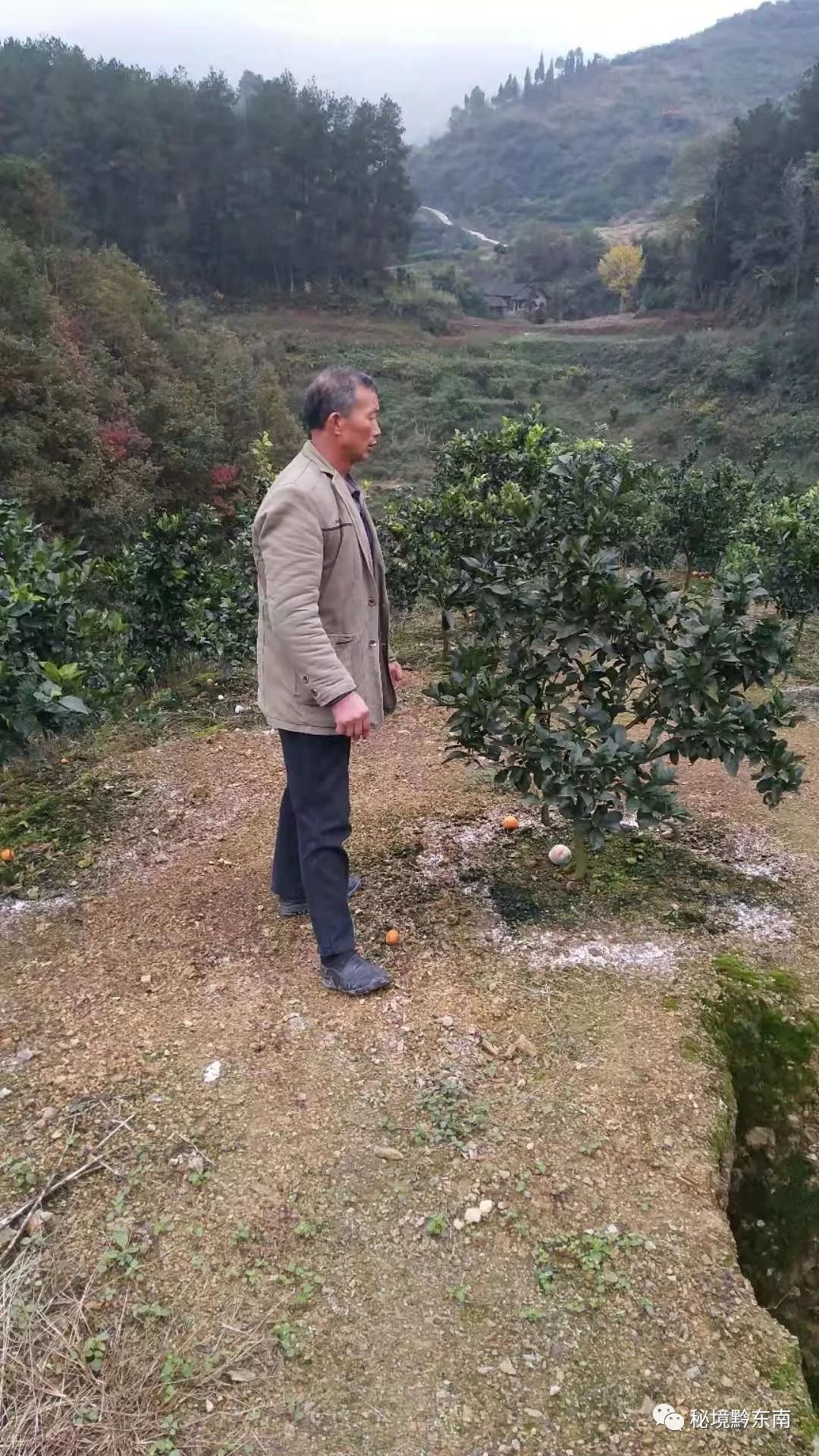 【人物】守住绿水青山,就是守住金山银山 ——记黄平县纸房乡金河村党