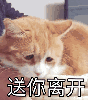 360_408gif 动态图 动图