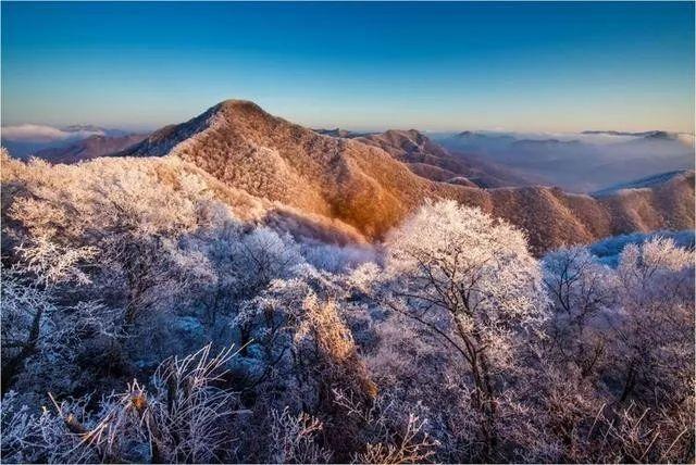 雪后平顶山 琼雪苍茫人行缓 几人归来几人还雪后万岁