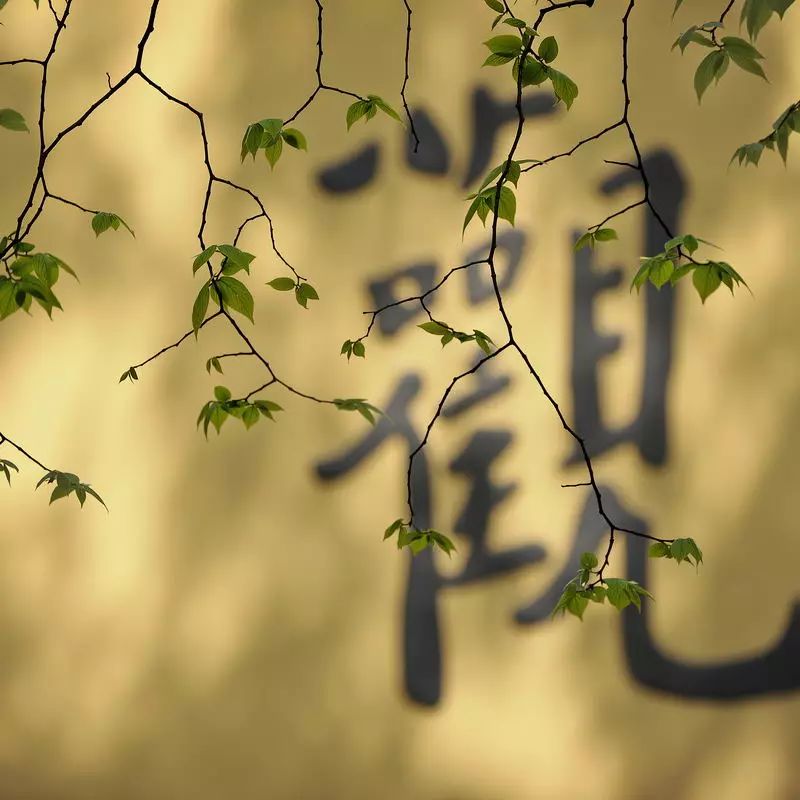 摄影课丨教你拍出绝美的禅意照片