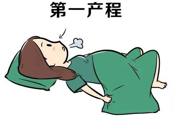 第一产程从临产至宫口开全(10厘米),可分为两个阶段:潜伏期和活跃期.