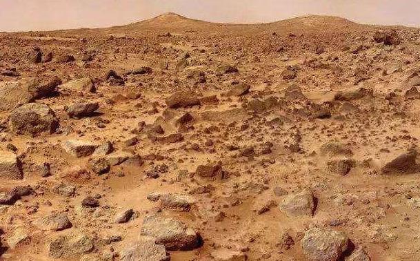 原创美科学家发现火星昆虫火星上真会有生命存在吗这样一看就知道