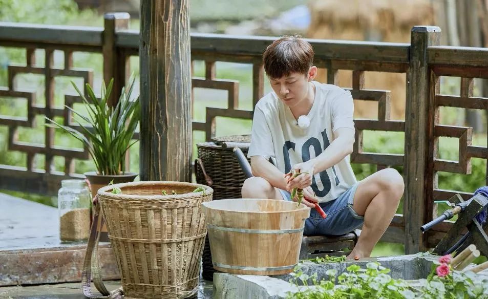 原创焦虑又被放大了何炅一天睡3小时库克说低学历也能当ceo